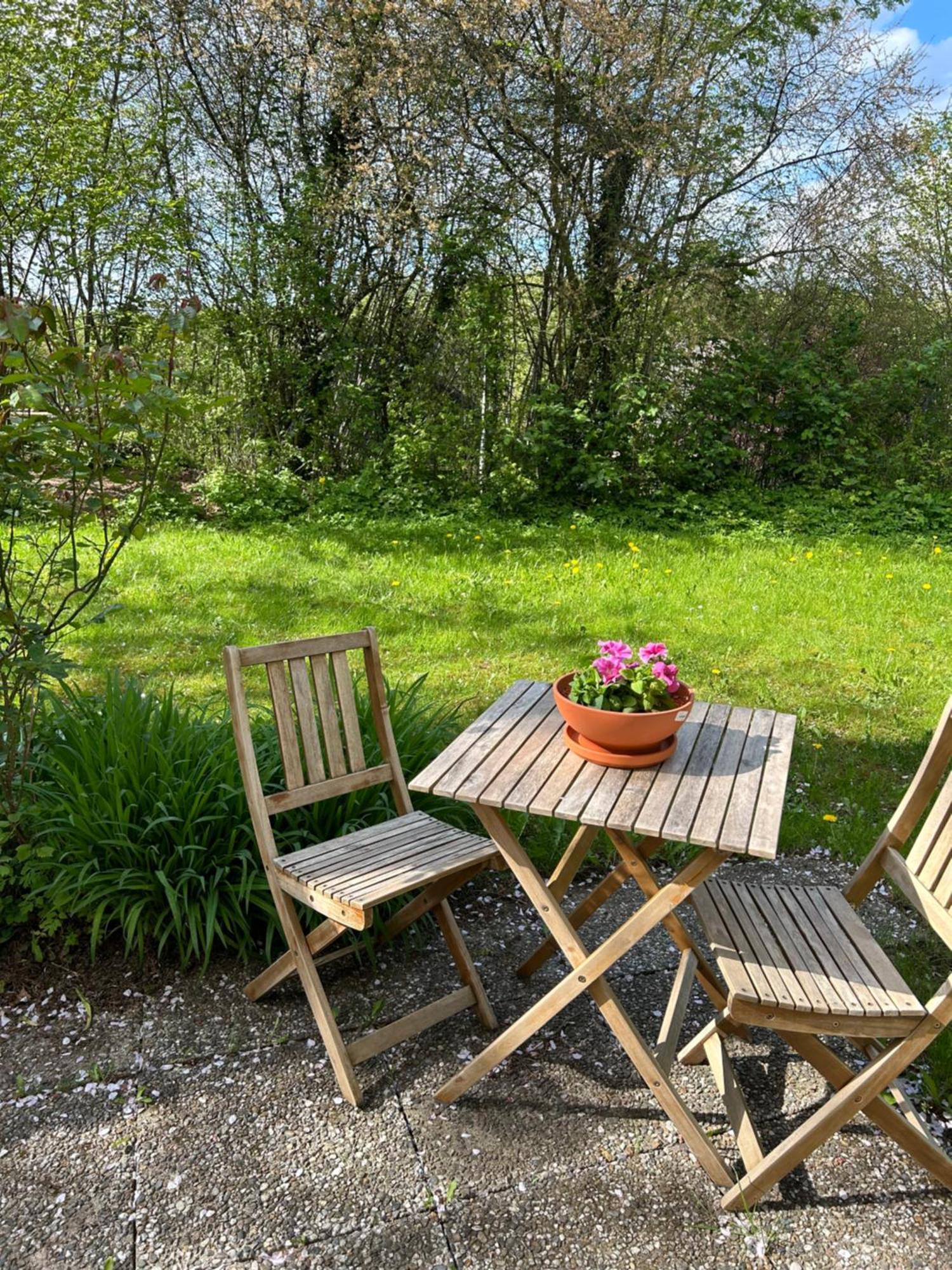 Mitten Im Gruenen - Apartment Mit Wohlfuehlcharakter In Stadtrandlage Eutin Buitenkant foto